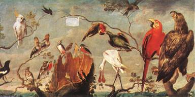 Resultat d'imatges de les oiseaux de snyders