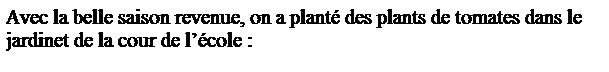 Zone de Texte: Avec la belle saison revenue, on a plant� des plants de tomates dans le jardinet de la cour de l��cole :
