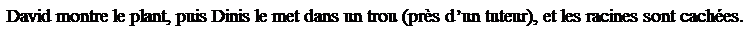 Zone de Texte: David montre le plant, puis Dinis le met dans un trou (pr�s d�un tuteur), et les racines sont cach�es.
