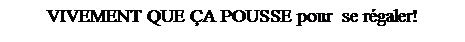 Zone de Texte: VIVEMENT QUE �A POUSSE pour&nbsp; se r�galer!
