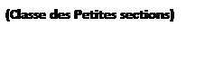 Zone de Texte: (Classe des Petites sections)
