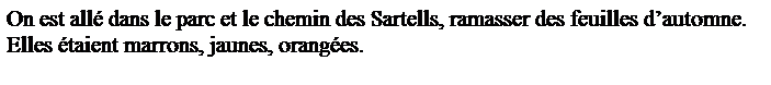 Zone de Texte: On est all� dans le parc et le chemin des Sartells, ramasser des feuilles d�automne. Elles �taient marrons, jaunes, orang�es.
&nbsp;
