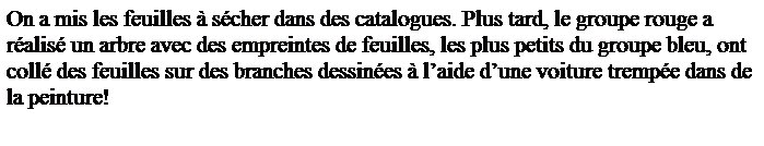 Zone de Texte: On a mis les feuilles � s�cher dans des catalogues. Plus tard, le groupe rouge a r�alis� un arbre avec des empreintes de feuilles, les plus petits du groupe bleu, ont coll� des feuilles sur des branches dessin�es � l�aide d�une voiture tremp�e dans de la peinture!

