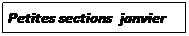 Zone de Texte: Petites sections&nbsp; janvier 2017
