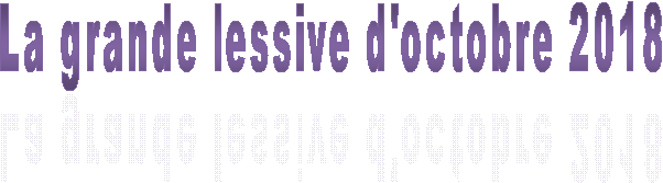 La grande lessive d'octobre 2018