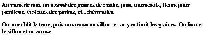 Zone de Texte: Au mois de mai, on a sem� des graines de : radis, pois, tournesols, fleurs pour papillons, violettes des jardins, et...ch�rimoles.
On ameublit la terre, puis on creuse un sillon, et on y enfouit les graines. On ferme le sillon et on arrose.

