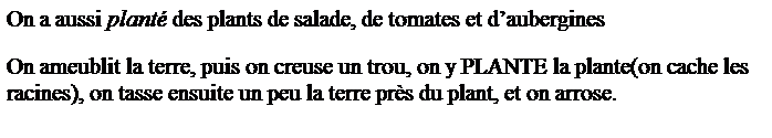 Zone de Texte: On a aussi plant� des plants de salade, de tomates et d�aubergines
On ameublit la terre, puis on creuse un trou, on y PLANTE la plante(on cache les racines), on tasse ensuite un peu la terre pr�s du plant, et on arrose.
